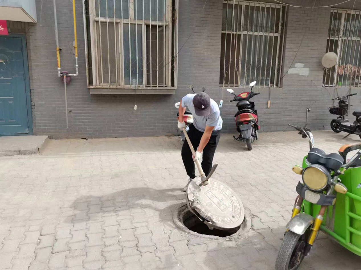 图片4